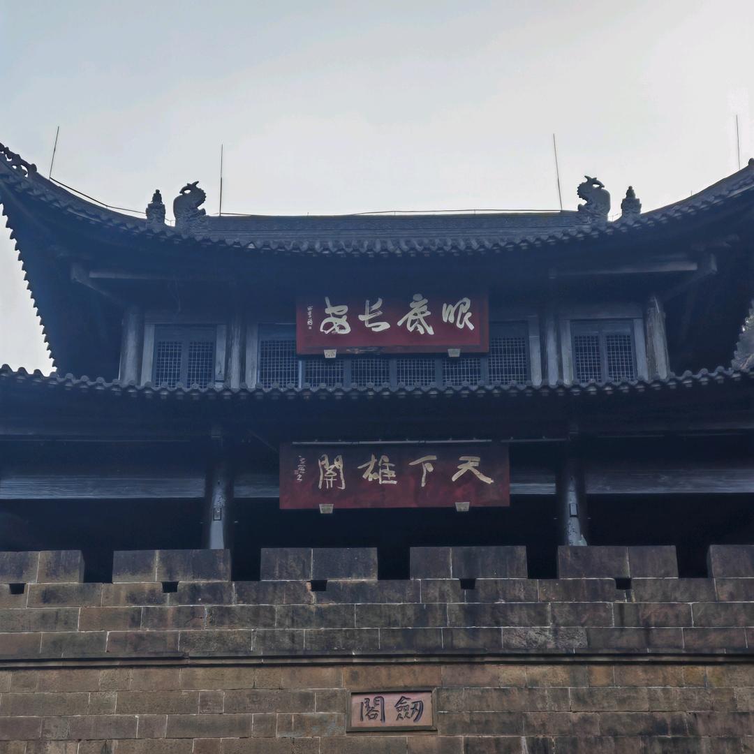 江北小树