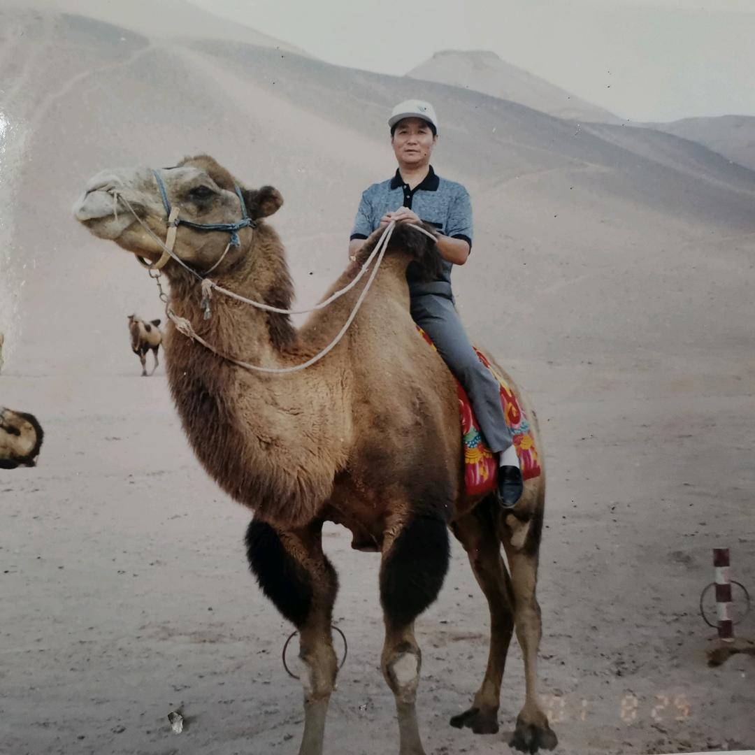 秀才遇到兵🇨🇳🌴🐂