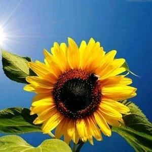 潍坊弘润温泉♥九月