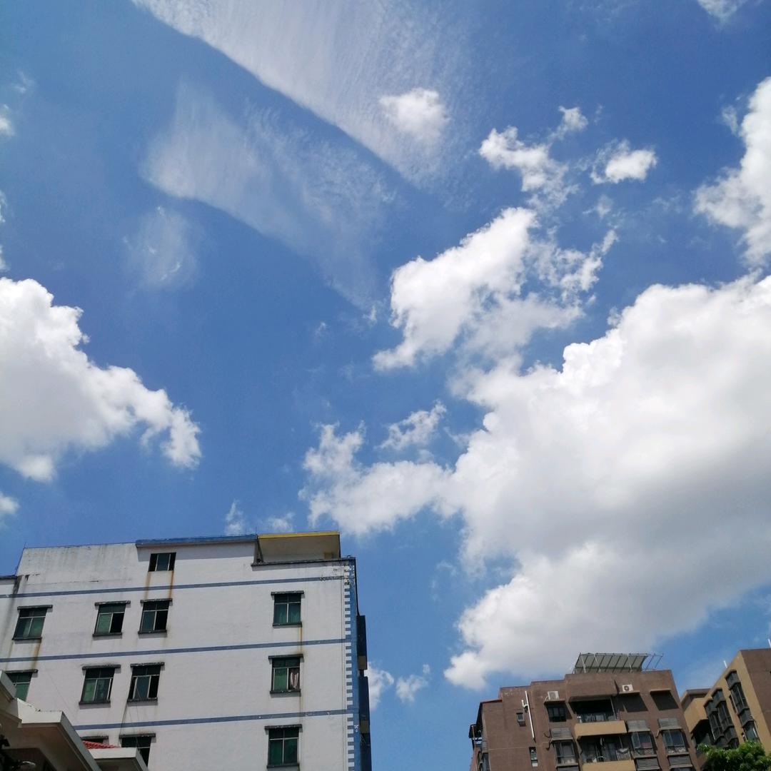 友来友往