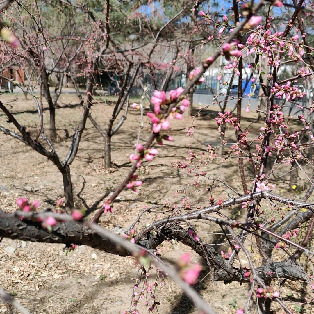 继东超市宠粉号
