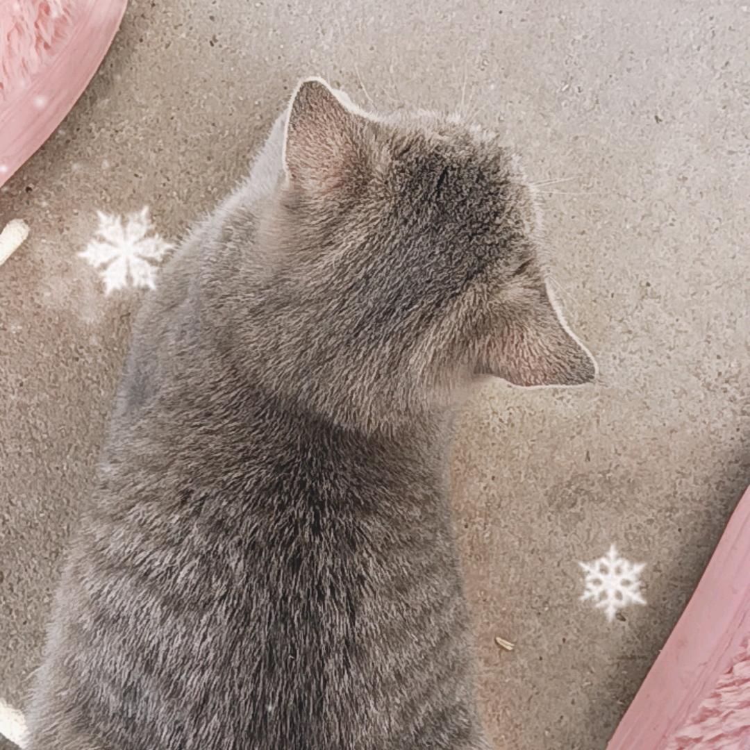 嗨森