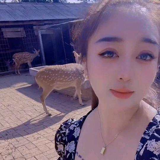 桃鹿岭瑜林鹿产品滋补专卖店