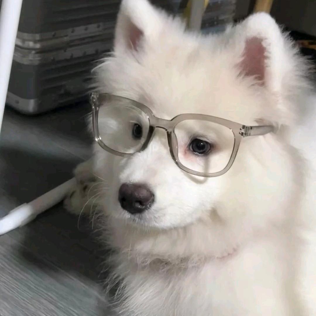 苏灿丶