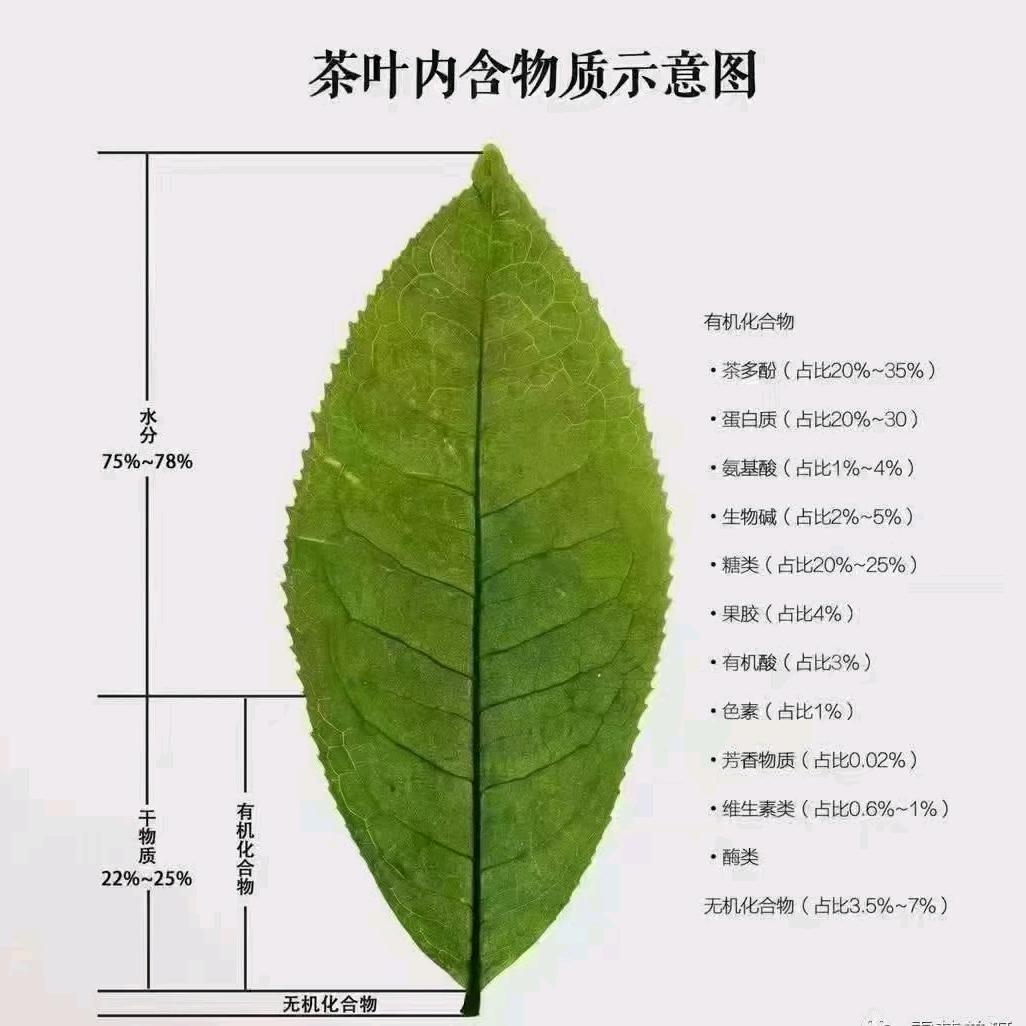 云茶鉴茶苑