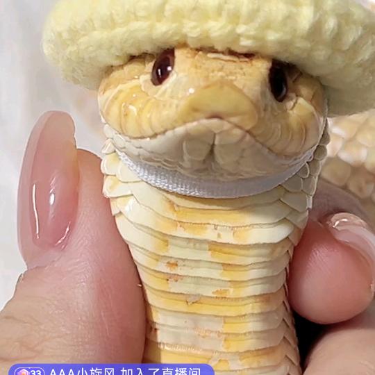 回眸一笑百媚生