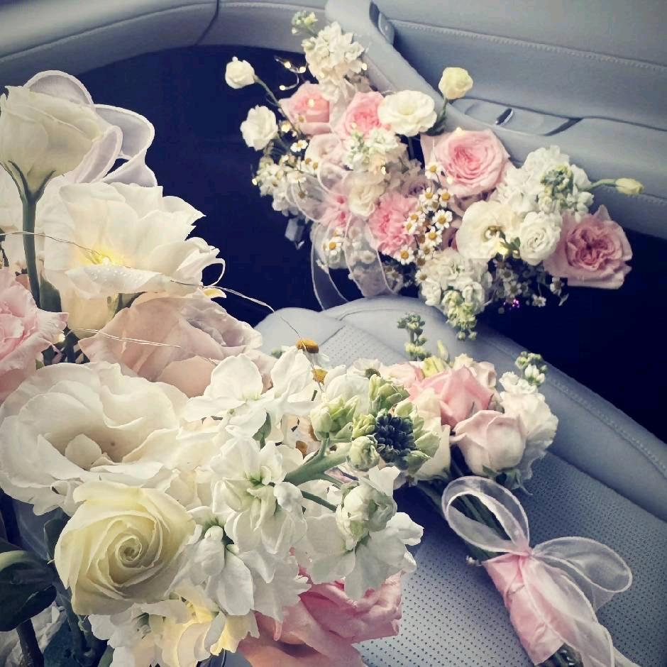 专业收杉木，松木，杂木