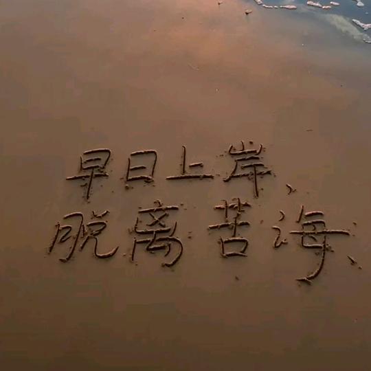 §§清  风§§