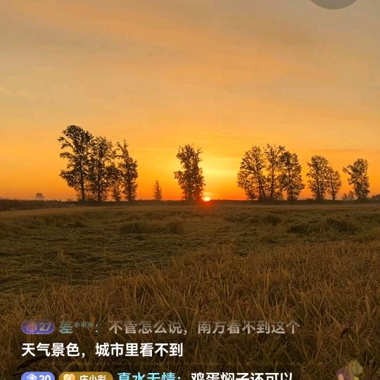 真水无情