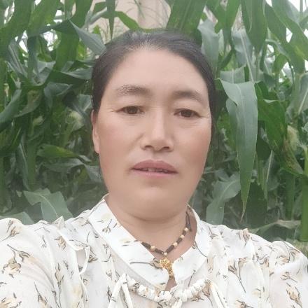 杨姐1