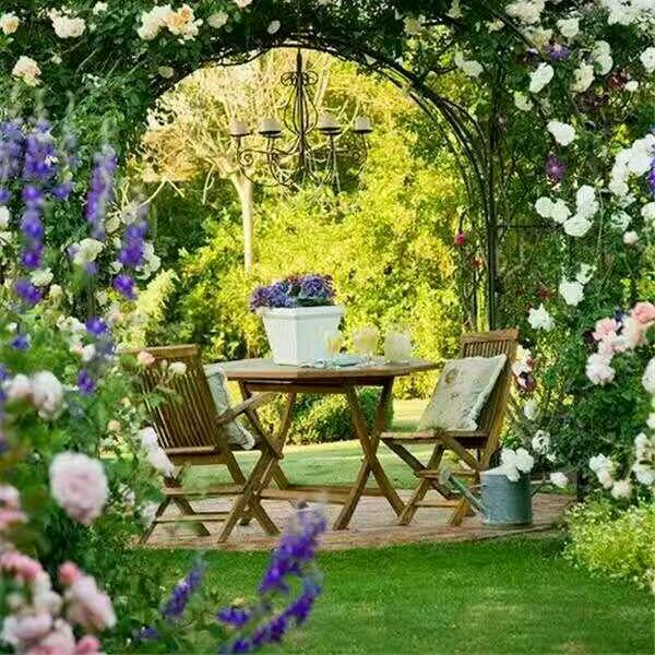 向阳而生，加油吧！