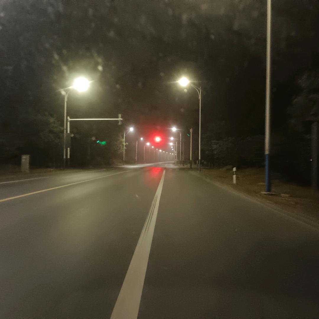 狼行天下