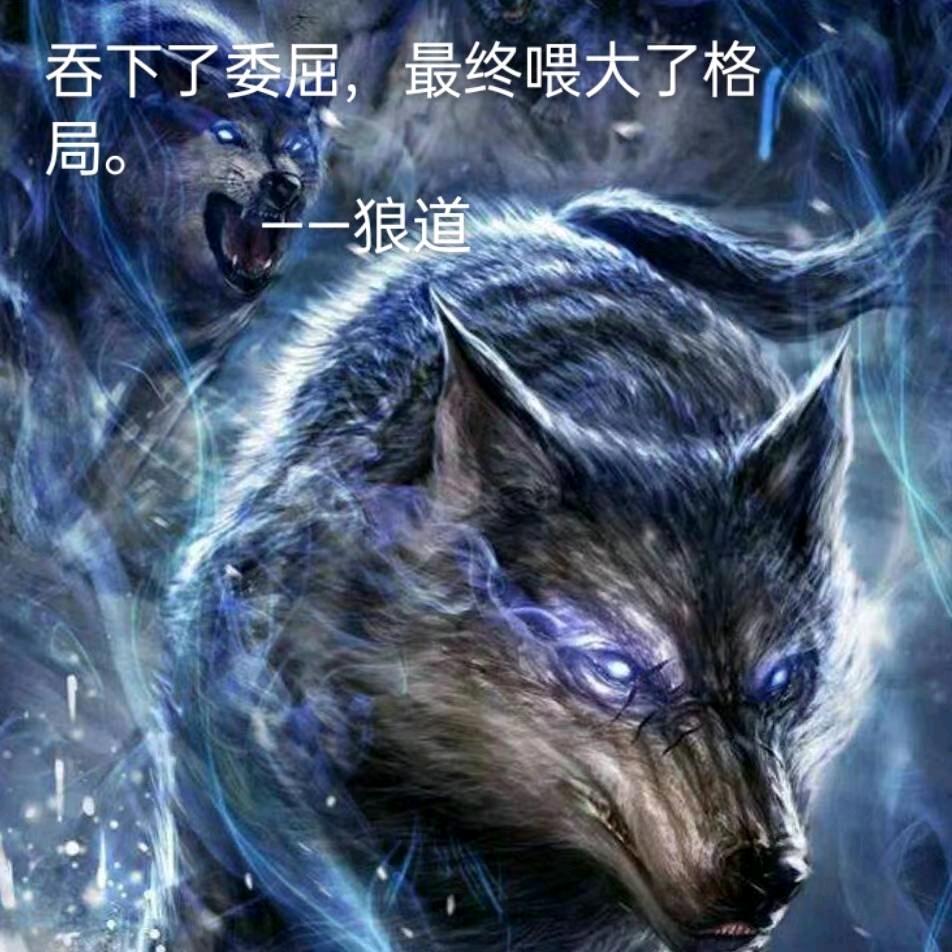 浩天宇