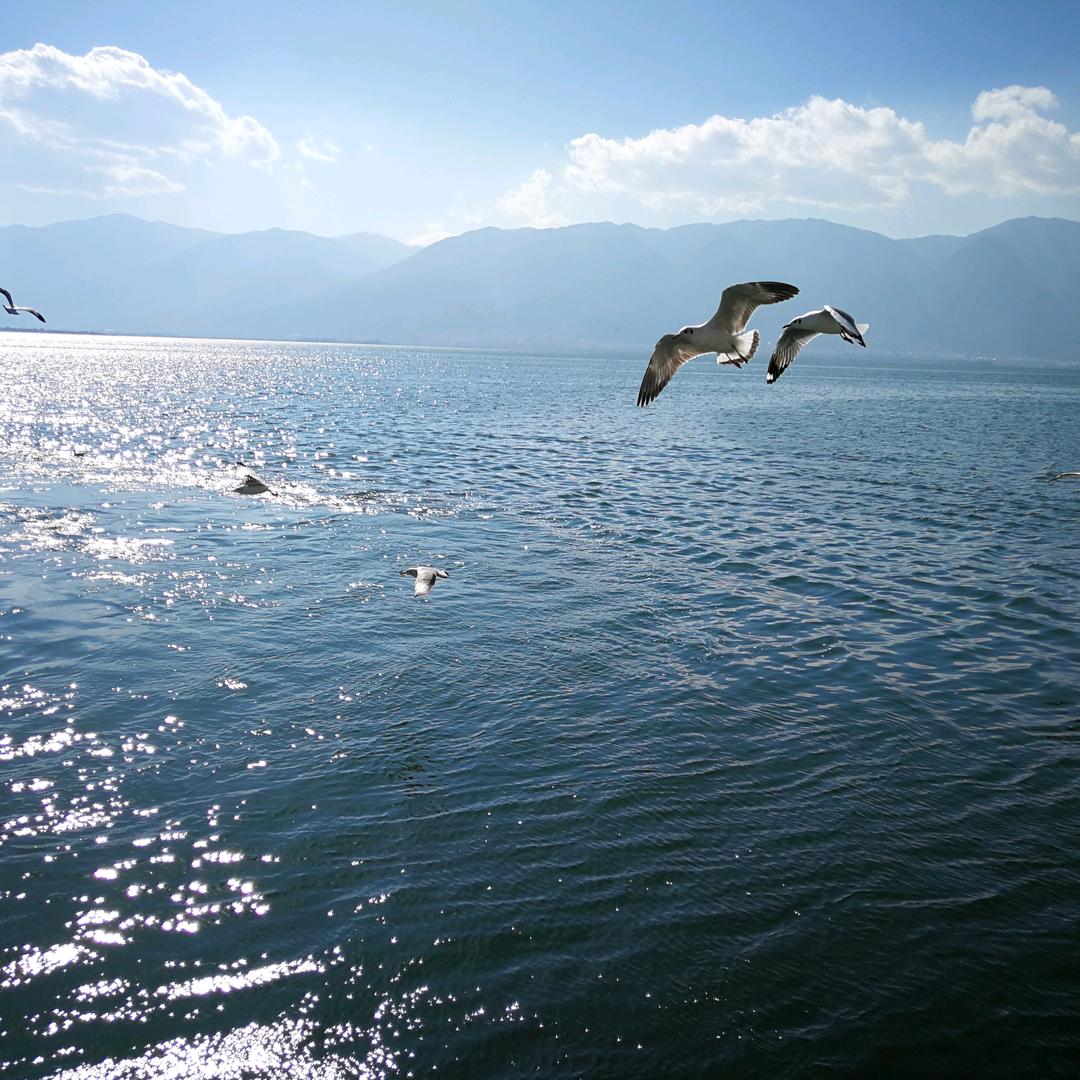 簡單（Ordinary）