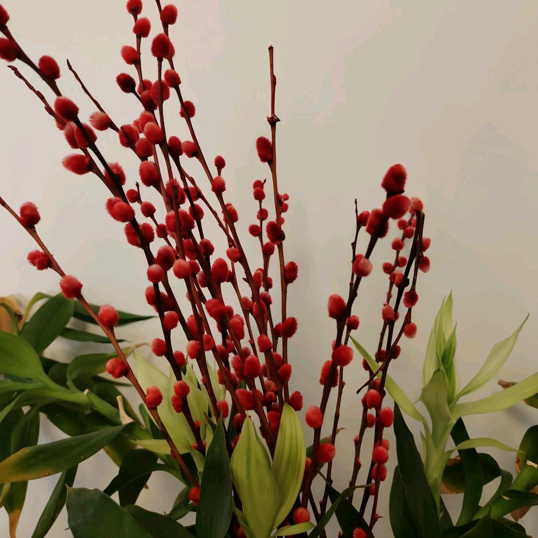 驾驶证培训王东杰