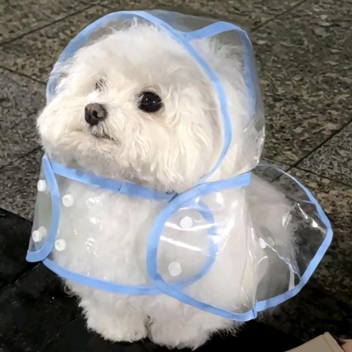啾咪~😘