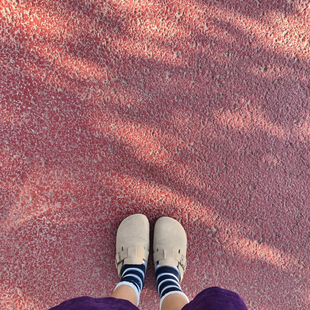 瑞安流浪狗收容所义工