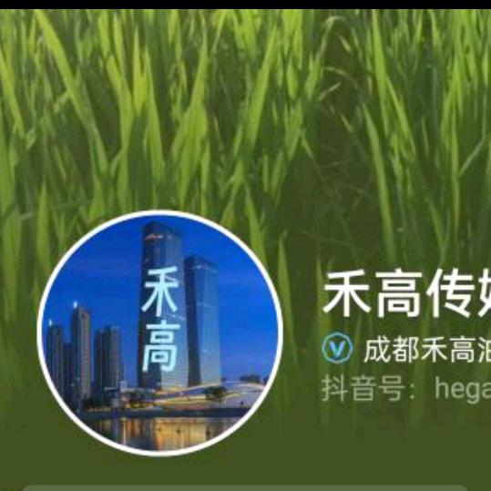 禾高传媒