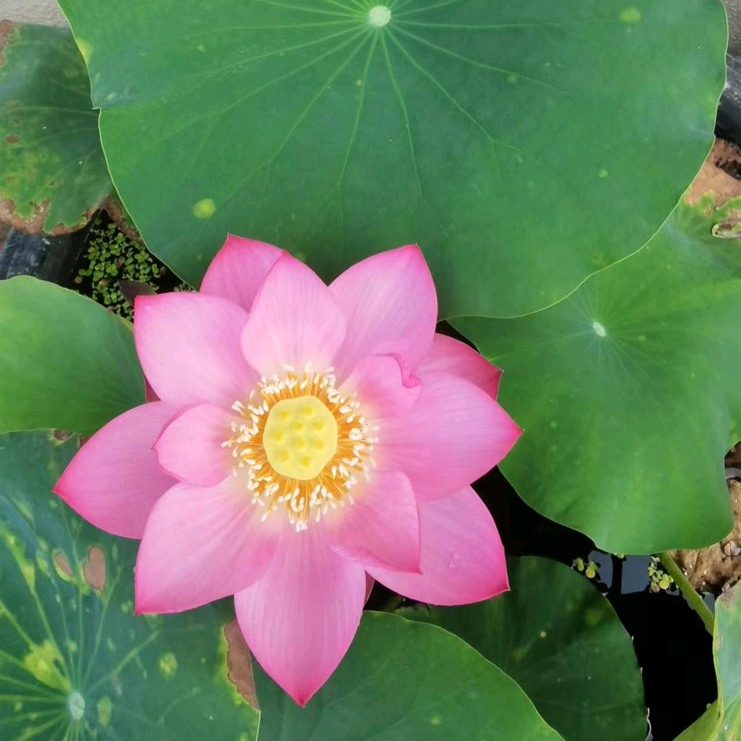 沈瑞举