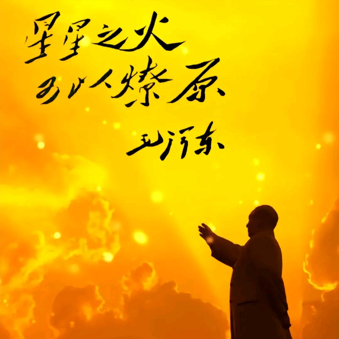 星星✨