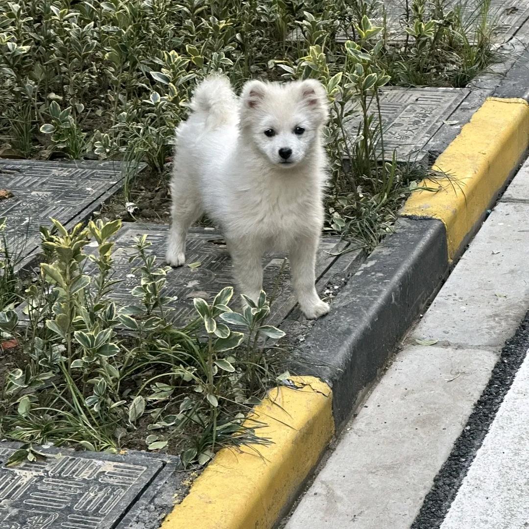 惠丁雅的7直播号
