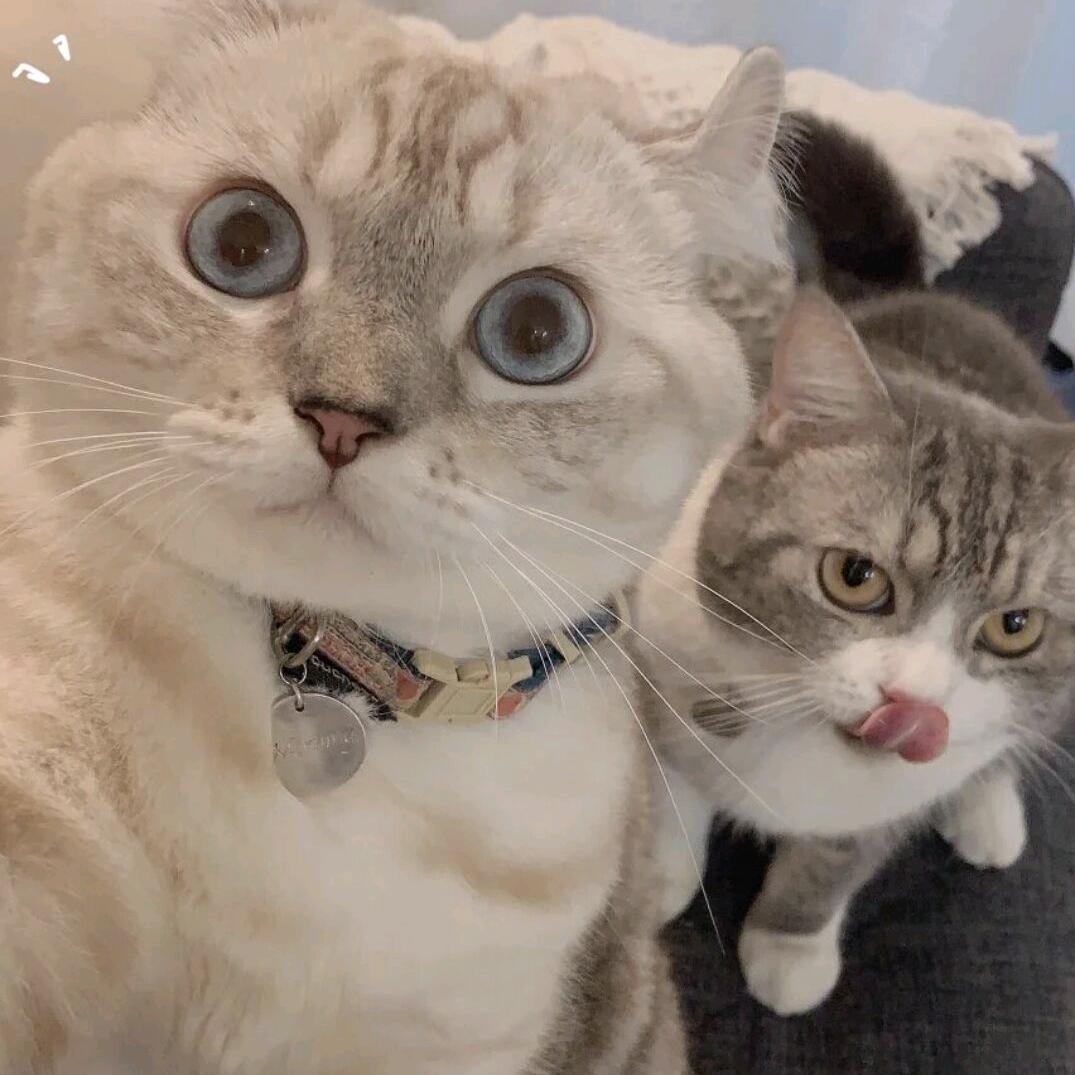 ⃢👁-👁⃢