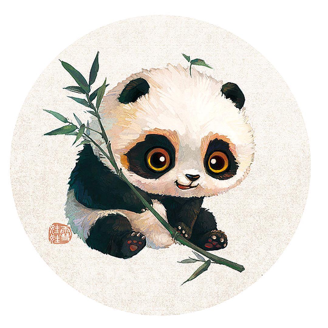 熊贵看剧