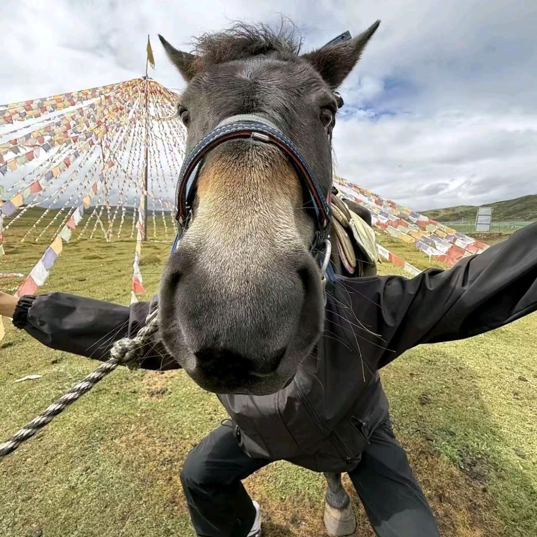 街边♡捡幸福♥