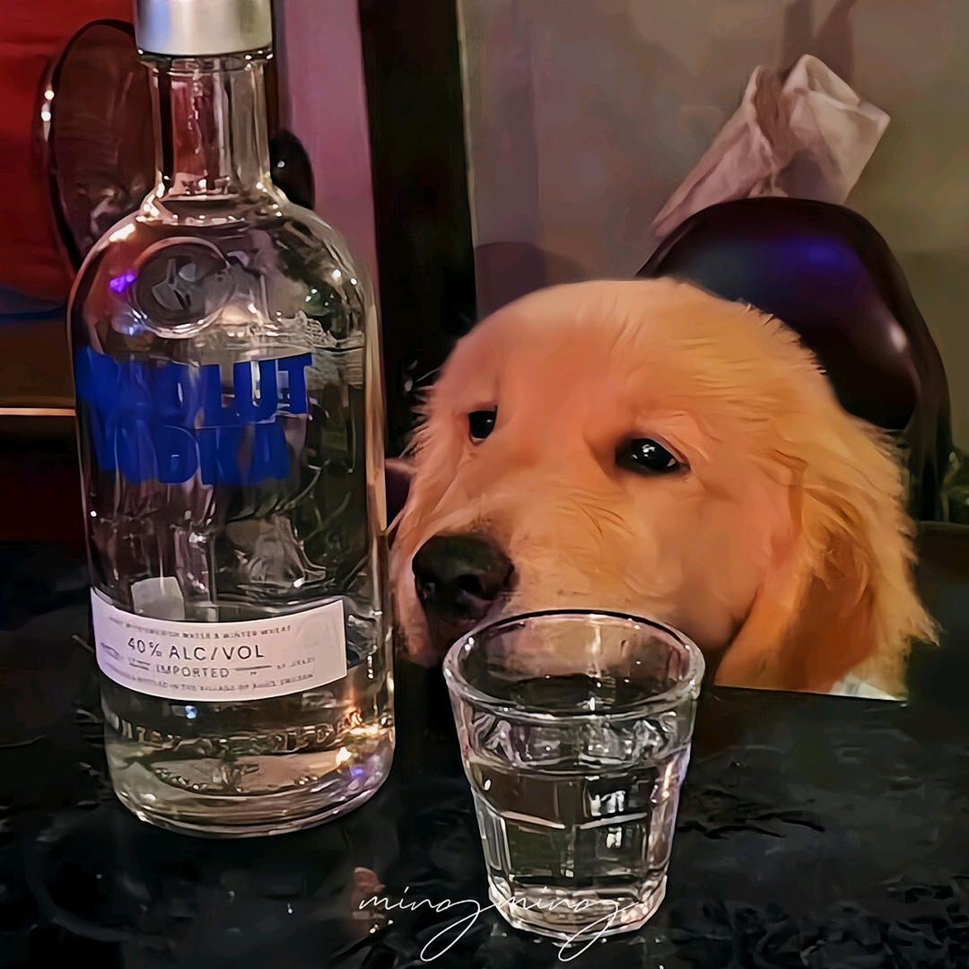 爱听音乐的小强🎶