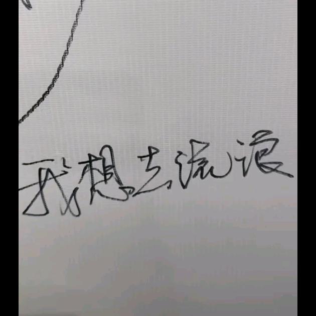 我想去流浪