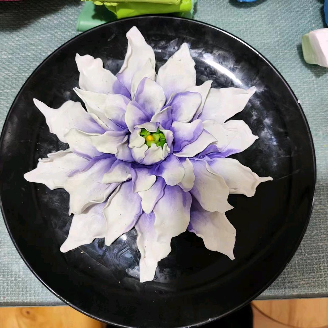 💕菲宸💫