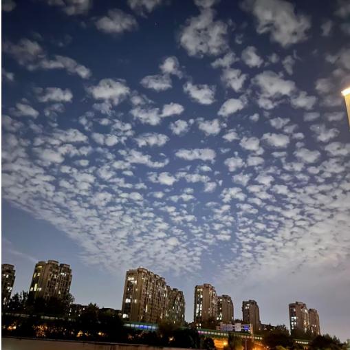 一夜暴富