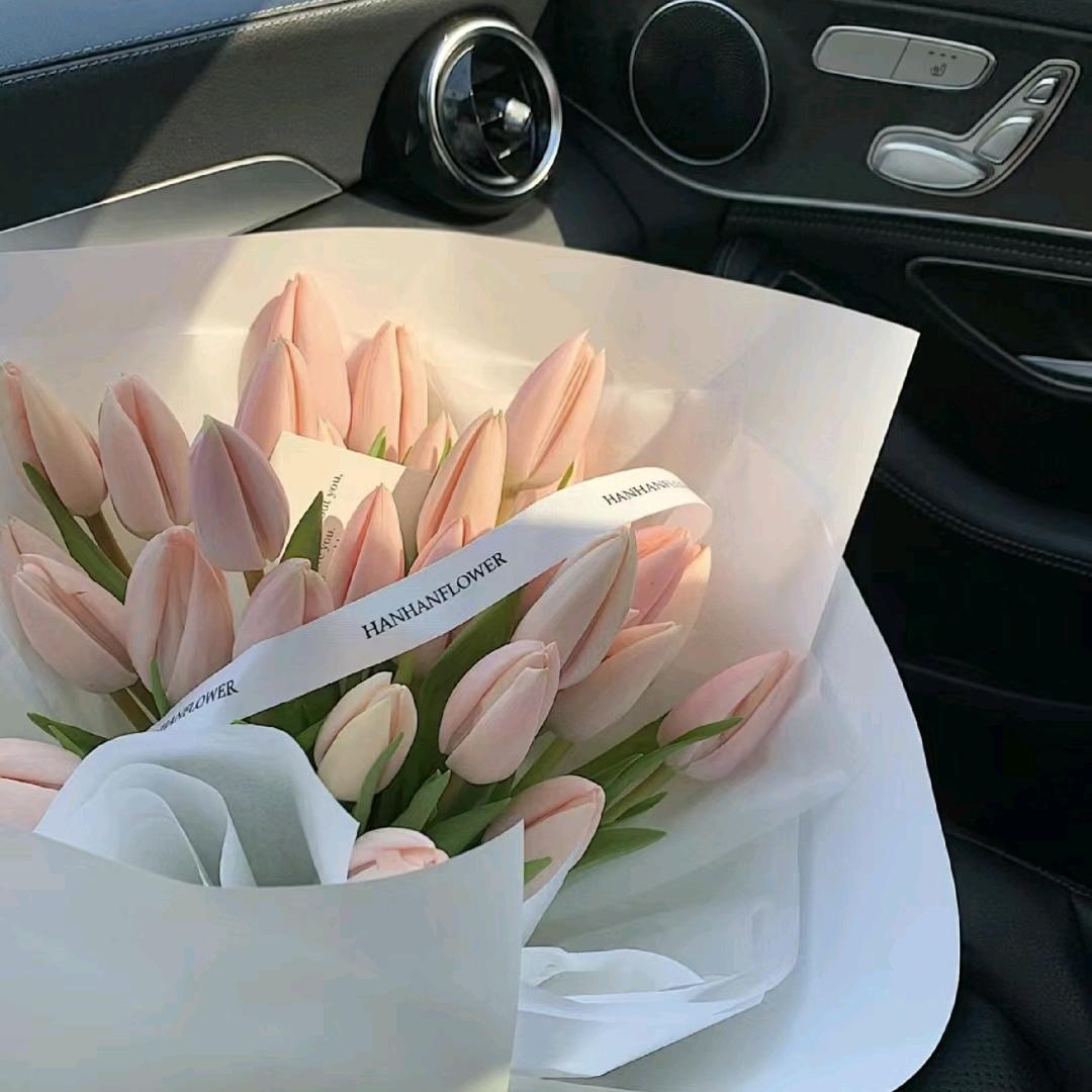 不晚是家花店(再晚都不晚)