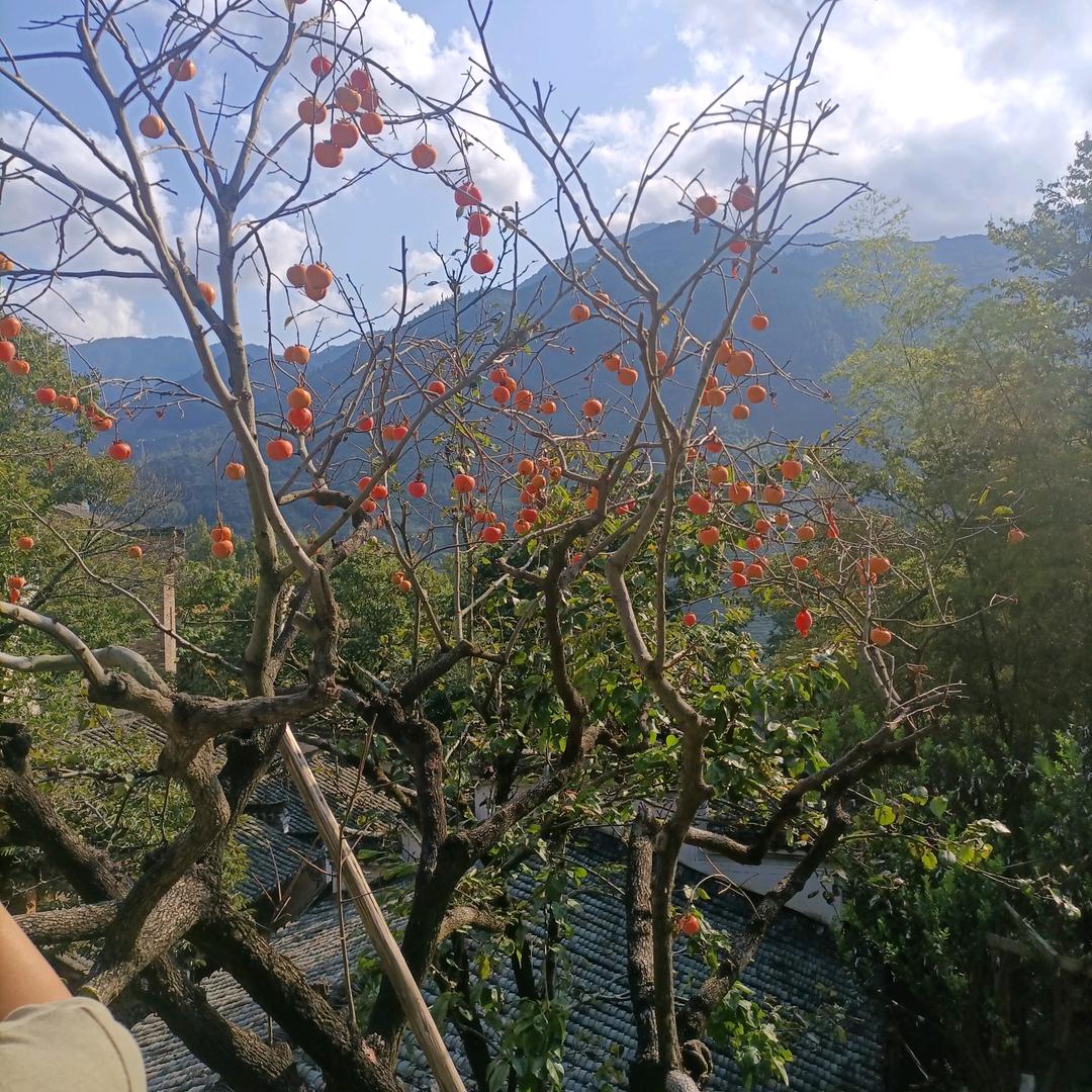 小院一方