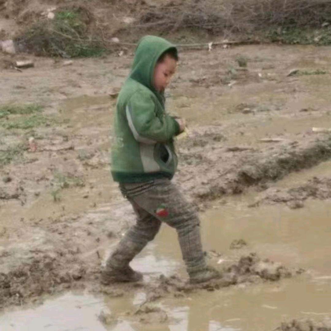 半生雪
