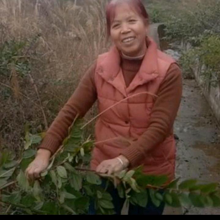 姜邦芬