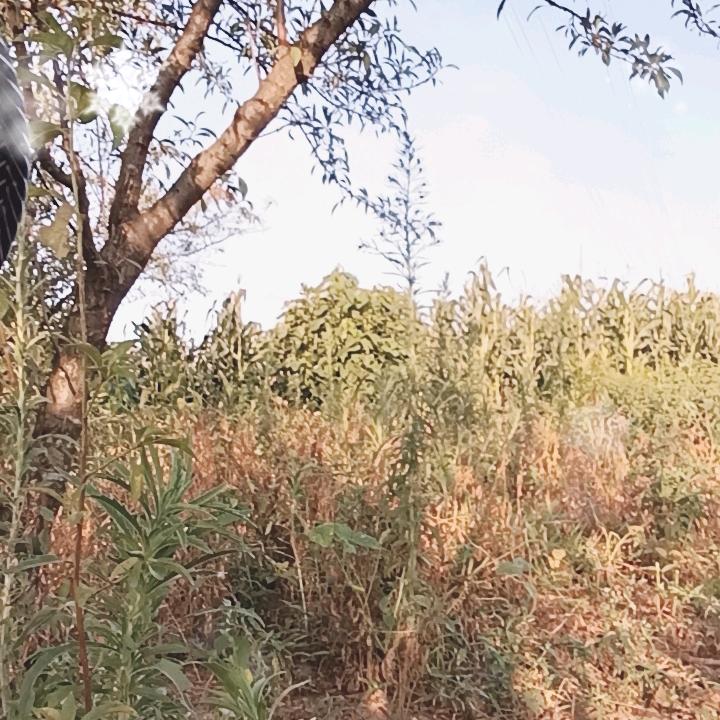 不要相信任何人对你是真心的好