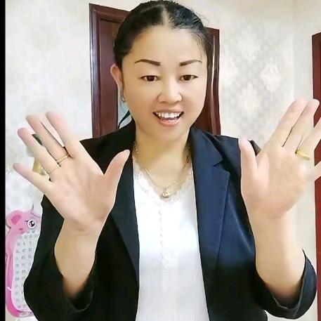 单飞的雁