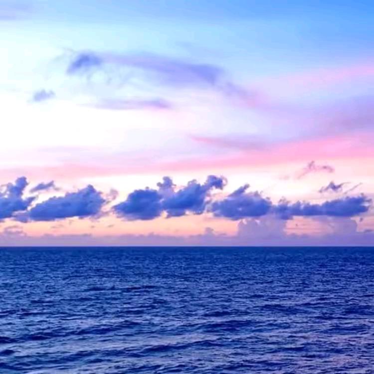 开心❤️❤️❤️❤️