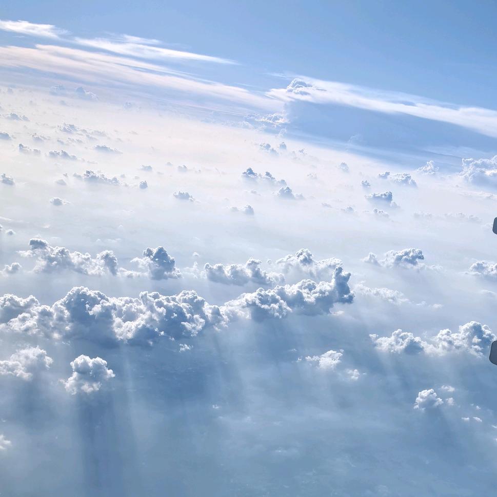 春风不语便随本心