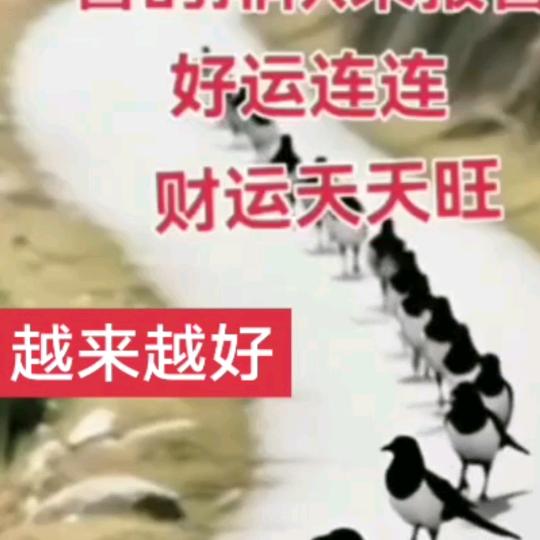🌹🌹一身轻松，好运来