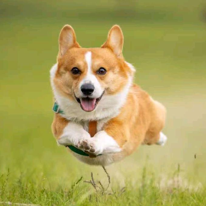 桐杰～家装施工