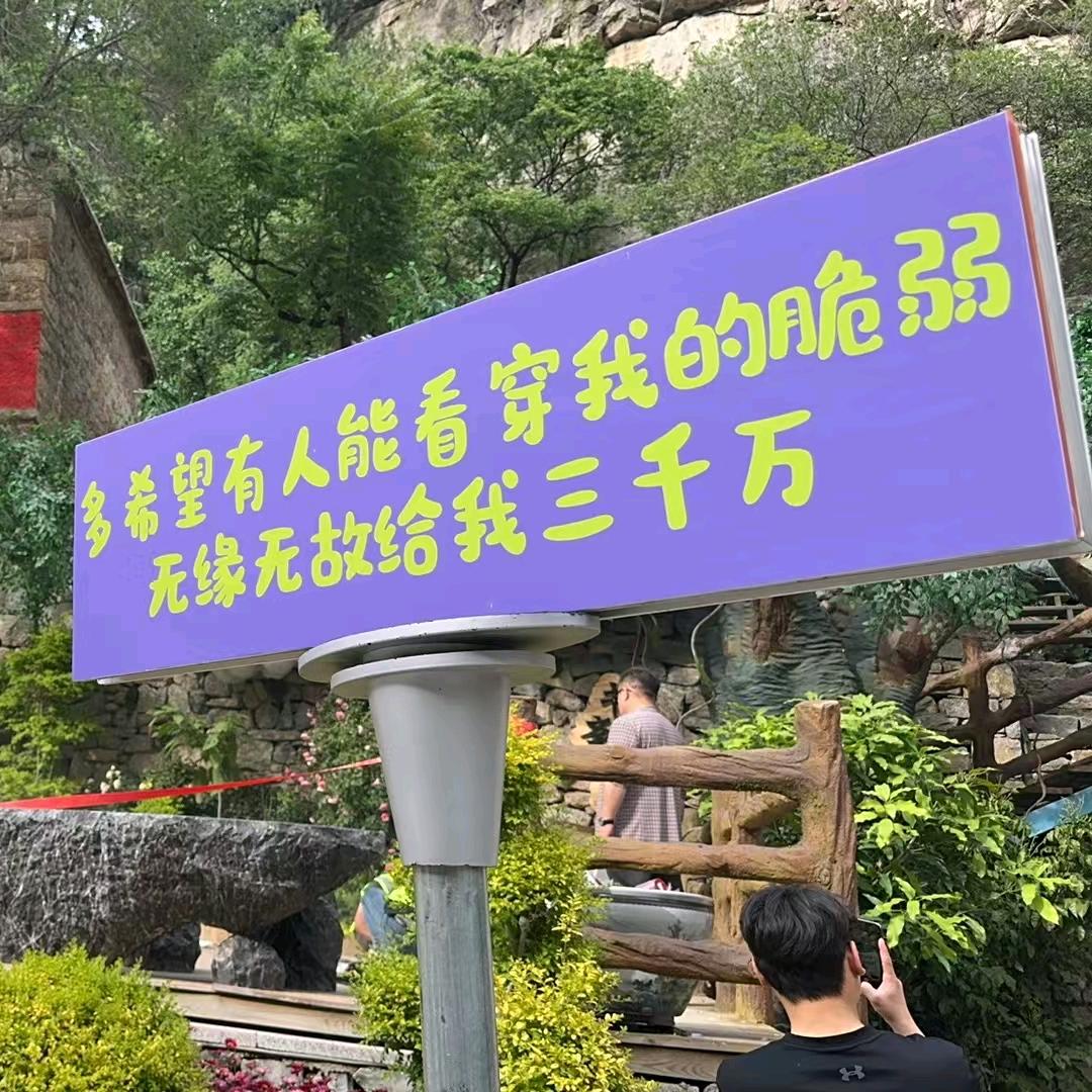 ✨好运相伴✨