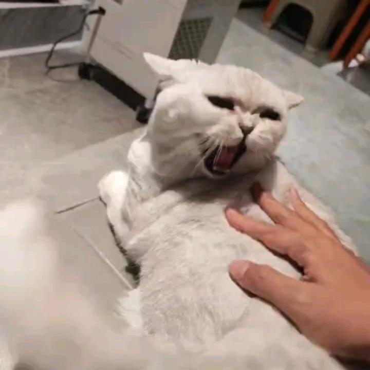 冬天，