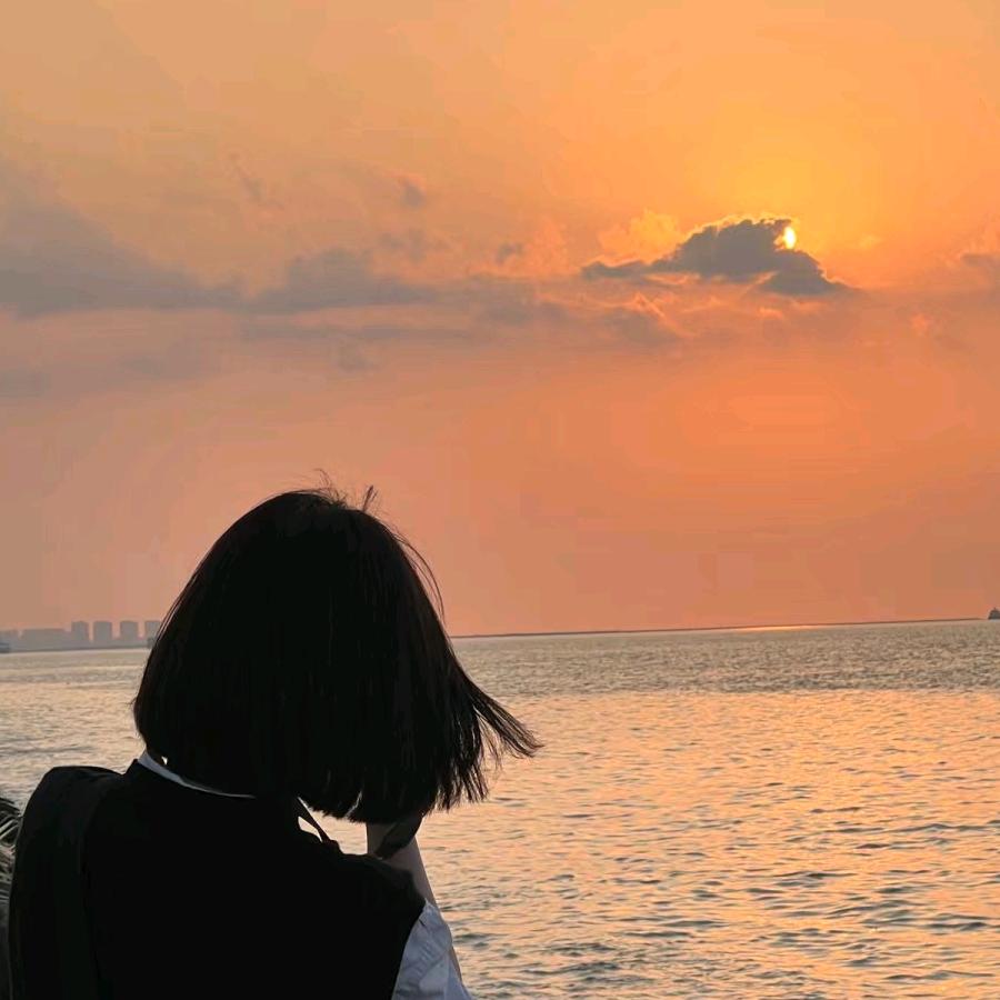 北城没夏