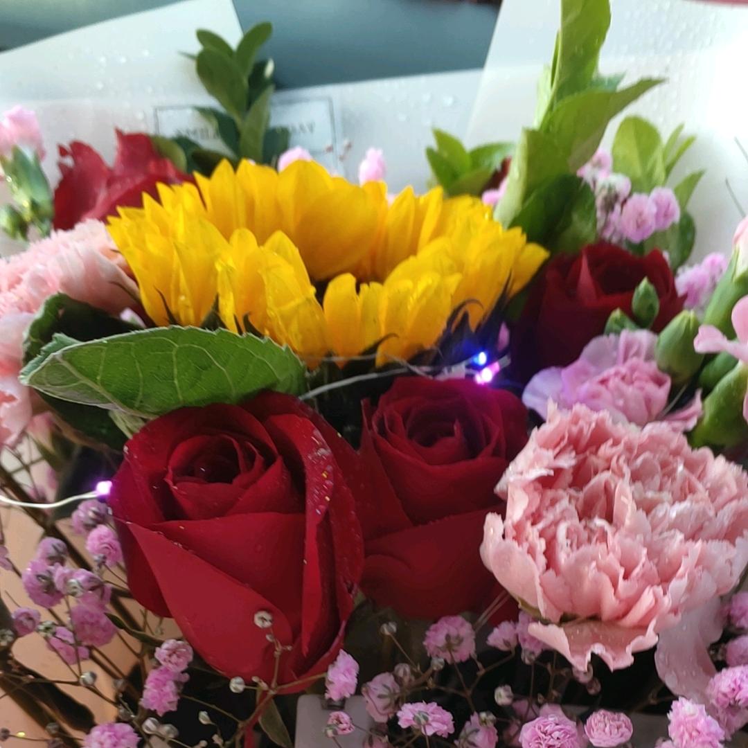 ♥(｡￫v￩｡)♥