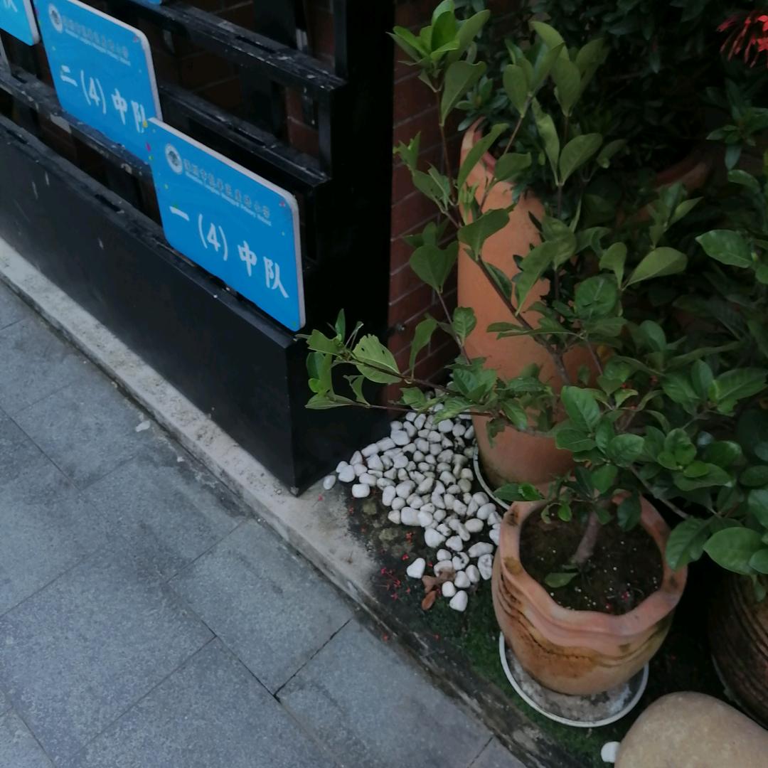冷月@