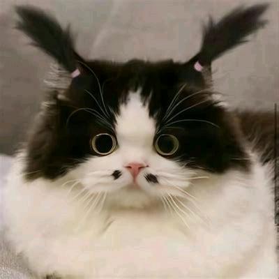 辉煌归来