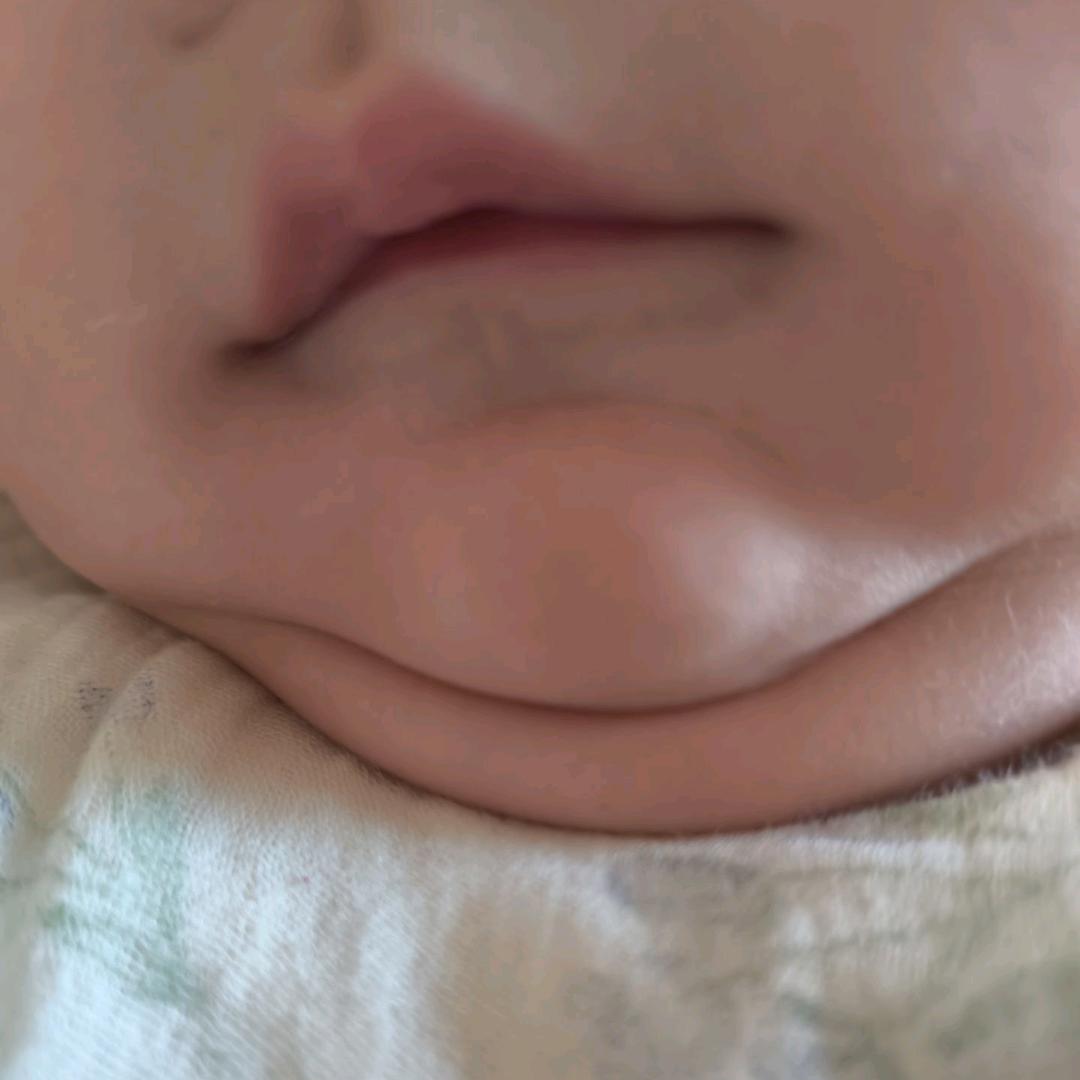 好大一条鱼