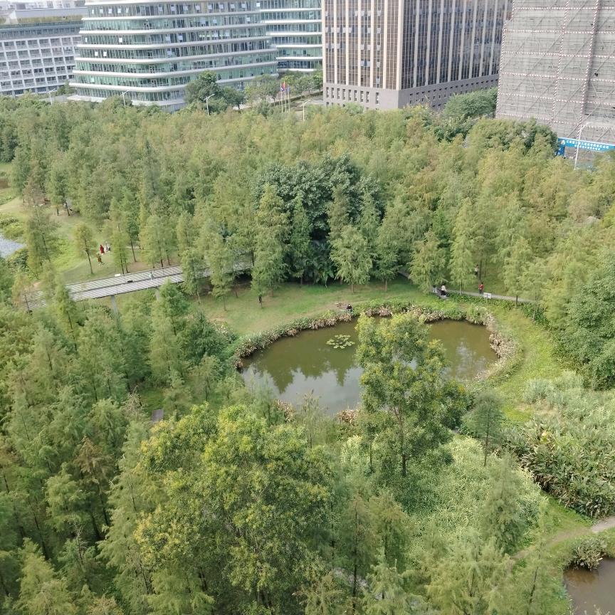 小砖